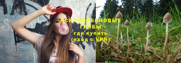Альфа ПВП Алзамай