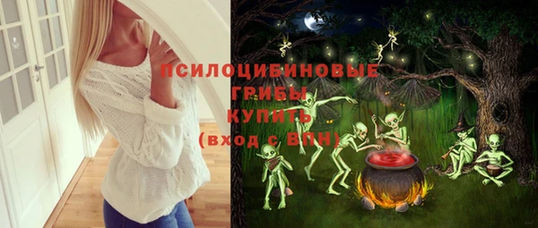 стаф Алексин